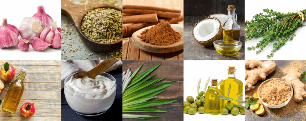 Como a alimentação pode ajudar na candidíase de repetição