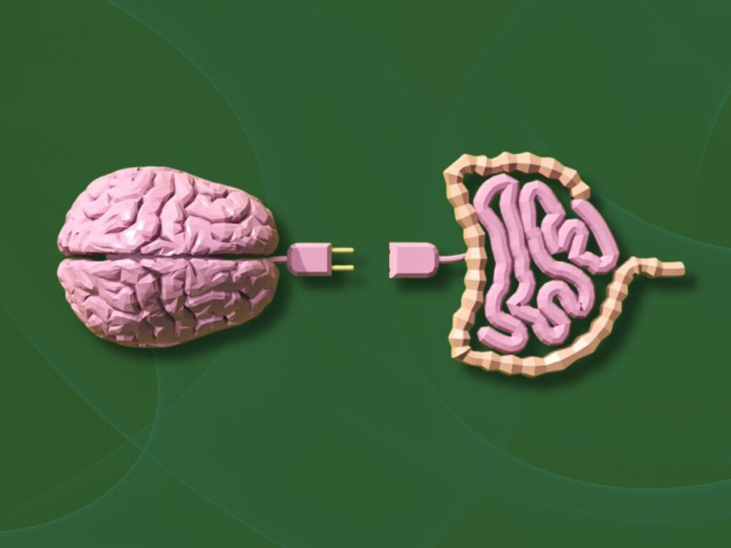 Ansiedade e Intestino